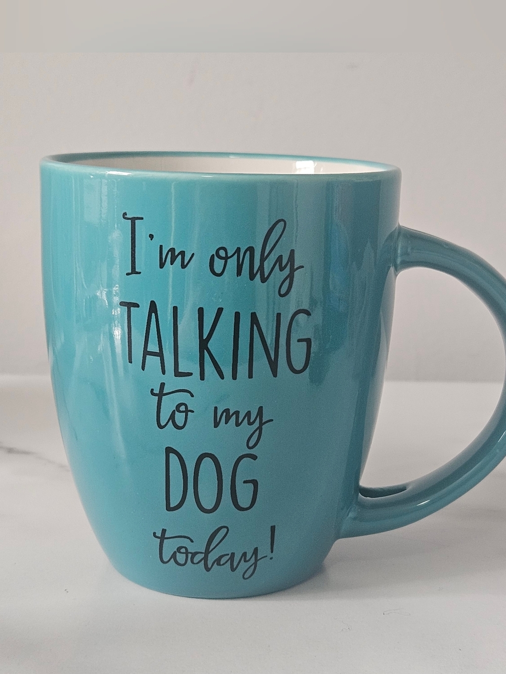 "I'M ONLY TALKING TO THE DOG TODAY!" TEAL 12oz Coffee Mug
